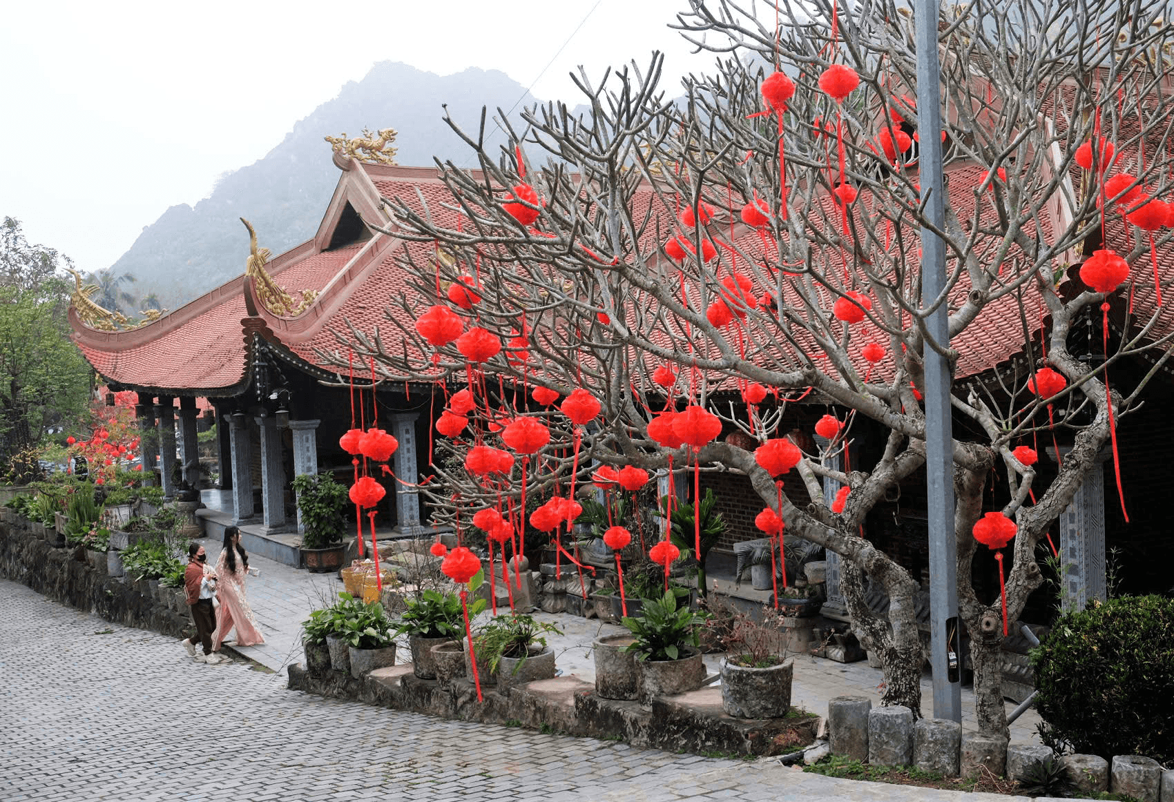 Giữ hồn Tết Việt giữa lòng phố thị Hàm Rồng