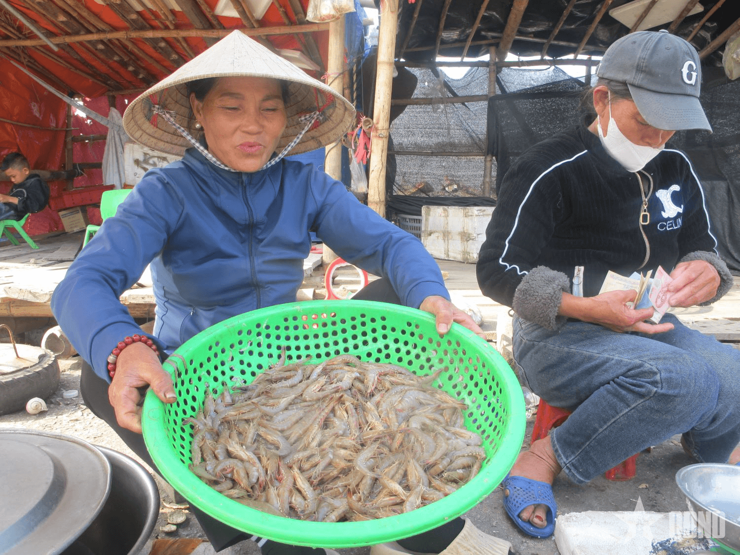Chuyến biển đầu năm thắng lợi, ngư dân Hà Tĩnh phấn khởi vươn khơi