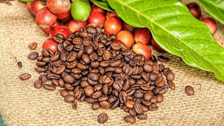 Bản tin nông sản hôm nay (26-2): Giá cà phê tăng mạnh