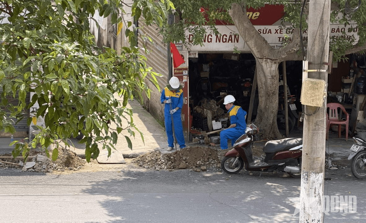“Cổ chai”, triệu chứng của tư duy phân mảnh