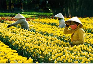 NÔNG DÂN XUẤT NGOẠI HỌC NGHỀ