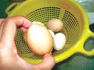 VÌ SAO CÁN BỘ CƠ SỞ KHÔNG BIẾT?