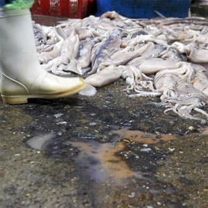 “MỘT CỬA” KIỂM SOÁT THỰC PHẨM