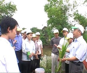 GIÚP NGƯỜI NGHÈO “CHIẾC CẦN CÂU”