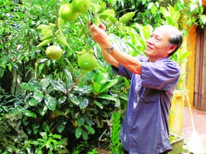 Làng... nhà giáo