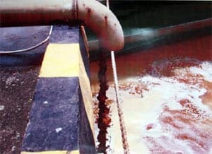 VÌ LỢI NHUẬN ĐẦU ĐỘC MÔI TRƯỜNG