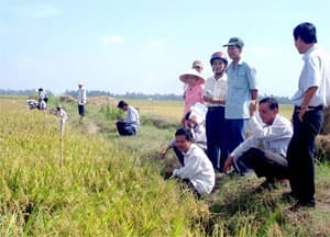 TÔN VINH NHỮNG NHÀ KHOA HỌC "CHÂN ĐẤT"