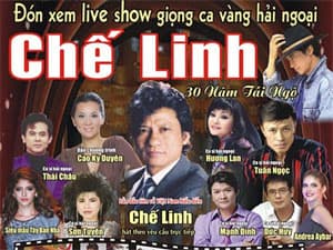 TỔ CHỨC BIỂU DIỄN THIẾU CHUYÊN NGHIỆP