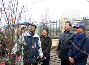TẾT VUI LÀ TẾT AN TOÀN