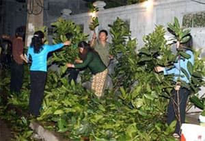 VĂN HOÁ DU XUÂN