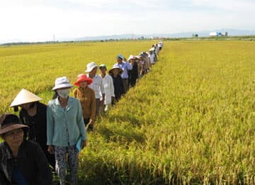 “CÙNG NÔNG DÂN RA ĐỒNG”