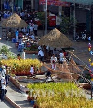 NHÀ NÔNG VÀ FESTIVAL
