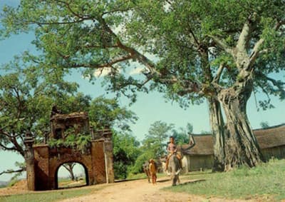 VĂN HOÁ LÀNG VÀ NÔNG THÔN MỚI