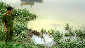 CHỒNG CHÉO THANH TRA, KIỂM TRA