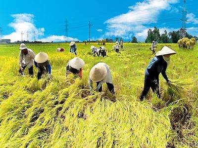 DẤU ẤN LÃNH ĐẠO