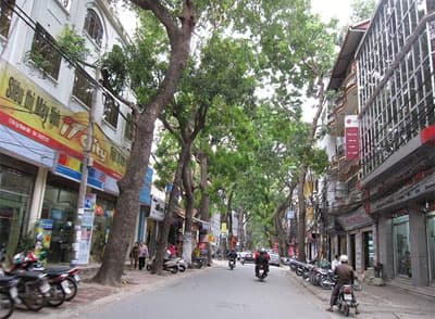 Người khai sáng miền Tiền - Thăng Long