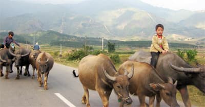BẢO VỆ “ĐẦU CƠ NGHIỆP..."