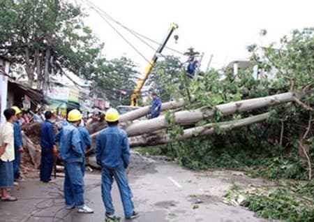 AN TOÀN MẠNG MÙA DÔNG, BÃO