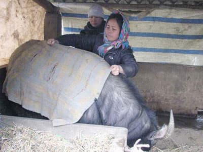 CHỐNG RÉT CHO “ĐẦU CƠ NGHIỆP”