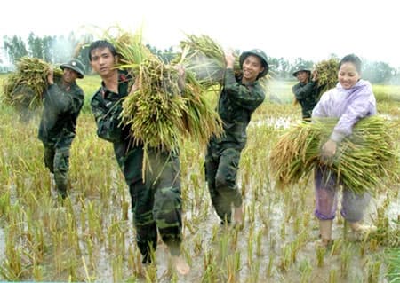QUÂN ĐỘI CHUNG TAY XÂY DỰNG NÔNG THÔN MỚI