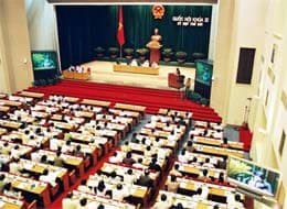 CỬ TRI HY VỌNG