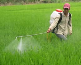 AN TOÀN VỆ SINH LAO ĐỘNG CHO NÔNG DÂN
