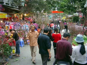 TẾT DÀI, AI MỪNG, AI LO?
