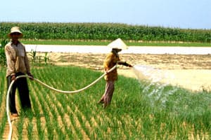 LỢI DỤNG THƯƠNG HIỆU