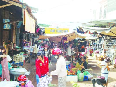 Hà Nội trên… cao nguyên