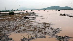 GIỮ NGHIÊM PHÉP NƯỚC