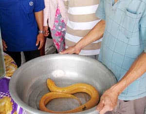 ẨN HỌA TỪ NHỮNG “CHUYỆN LẠ”