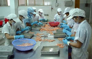 CÔNG ĐOÀN CẦN ĐỦ MẠNH