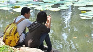 DẠY CON Ở TUỔI YÊU