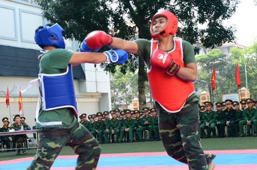 Hội thao võ chiến đấu tay không