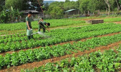 Màu xanh Côn Đảo