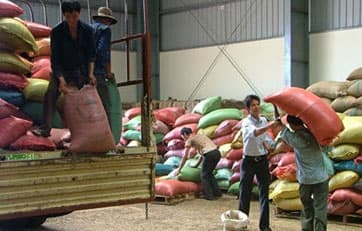 DỊCH VỤ SẢN XUẤT NÔNG NGHIỆP “TRỌN GÓI”
