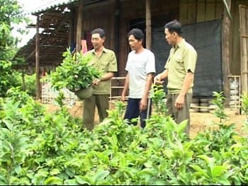 HIỆU QUẢ THIẾT THỰC TỪ MÔ HÌNH “5+1”