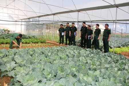 Một số kết quả nổi bật trong bảo đảm đời sống bộ đội ở Bộ CHQS tỉnh Lâm Đồng
