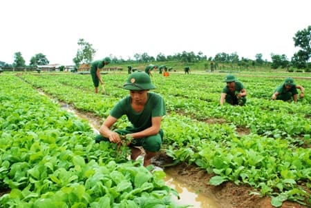 Trung đoàn 19 vượt khó đi lên