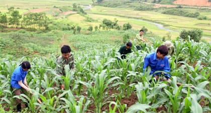 Màu xanh trí thức trẻ nơi biên cương