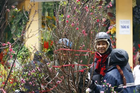 Xuân đã về trên phố