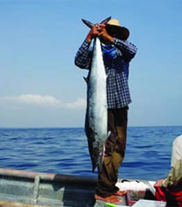 BIỂN KHƠI GẦN GŨI