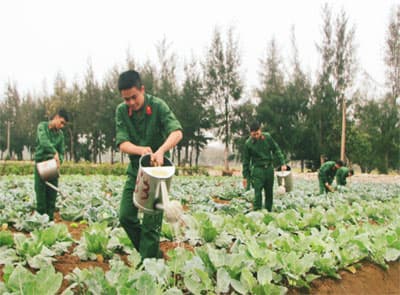 Năm kinh nghiệm trong tổ chức thực hiện đột phá về hậu cần ở Quân khu 3