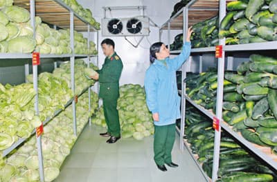 Nhà bảo ôn ở Lữ đoàn 490