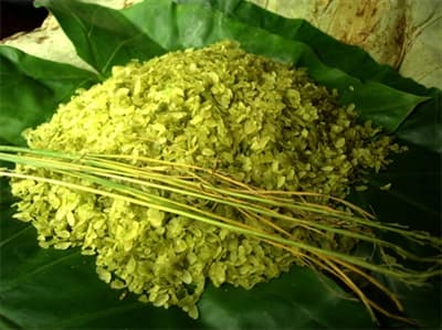 Sang thu nhớ cốm làng Vòng