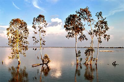Ngậm ngùi mùa nước nổi