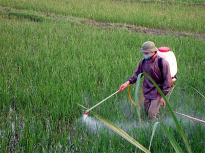 KHÔNG THỂ CỨ PHÓ MẶC CHO NÔNG DÂN!