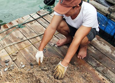 HỌC TỪ THẤT BẠI