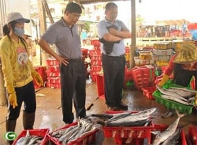 QUẢN LÝ THƯƠNG LÁI NƯỚC NGOÀI MUA NÔNG SẢN TRÁI PHÉP
