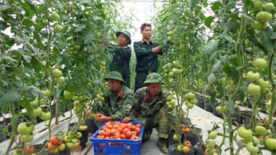 “Vườn lập trình” ở Học viện Lục quân